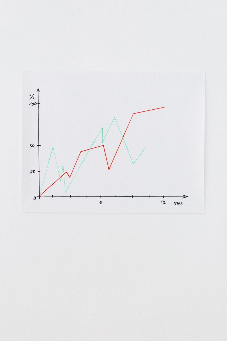 Maximizing Efficiency: Creating High-Performance SaaS Web Applications